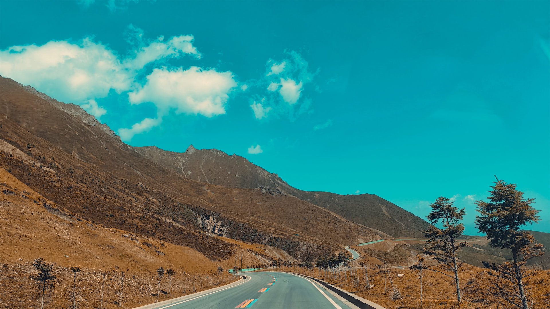 愿与你共赏美景